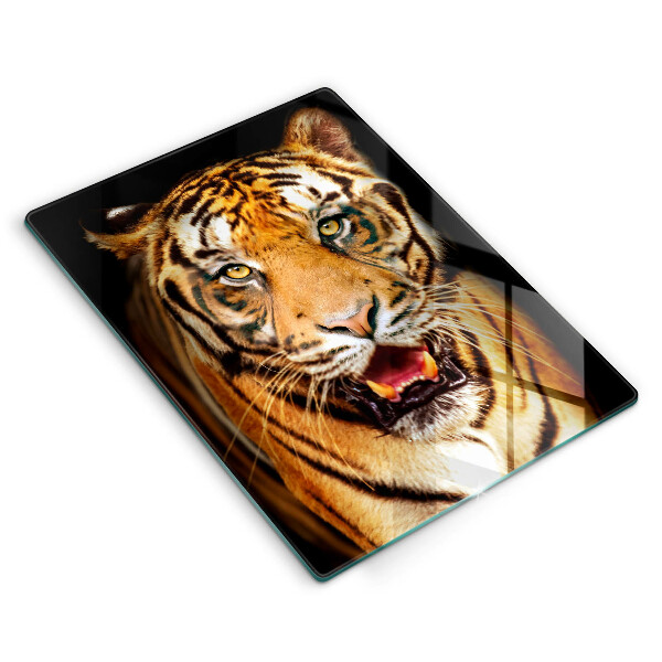 Protection plaque induction Tigre animal sauvage