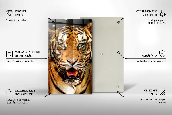 Protection plaque induction Tigre animal sauvage