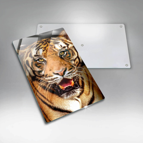 Protection plaque induction Tigre animal sauvage