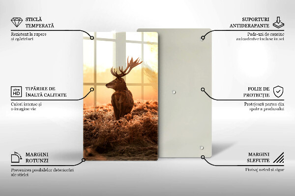 Protection plaque induction Cerf sur le terrain