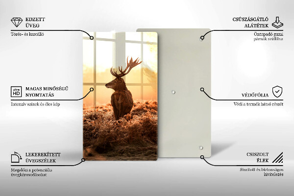 Protection plaque induction Cerf sur le terrain