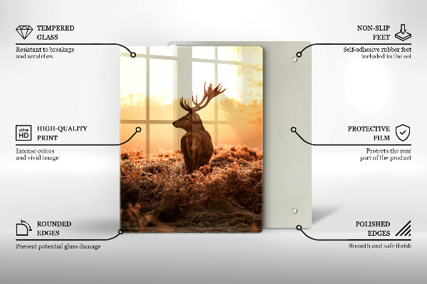 Protection plaque induction Cerf sur le terrain