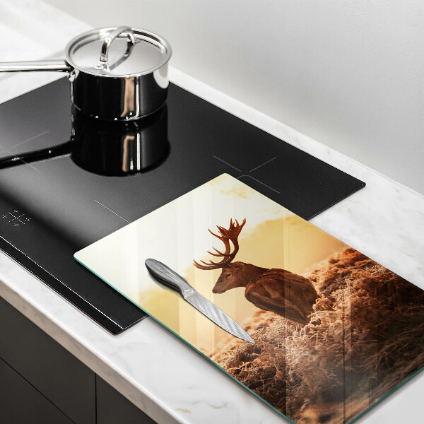 Protection plaque induction Cerf sur le terrain