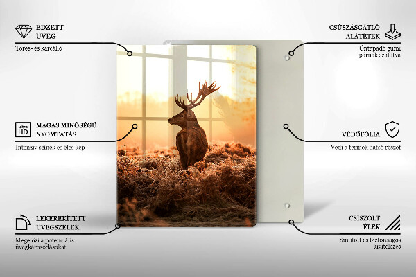 Protection plaque induction Cerf sur le terrain