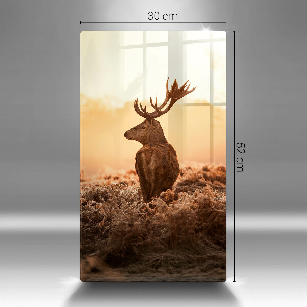 Protection plaque induction Cerf sur le terrain