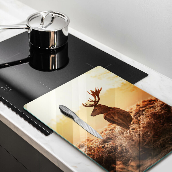 Protection plaque induction Cerf sur le terrain