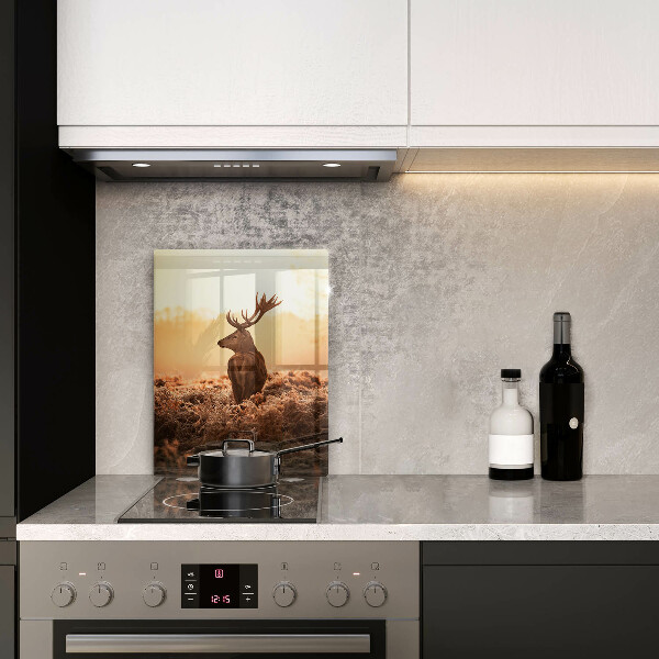 Protection plaque induction Cerf sur le terrain