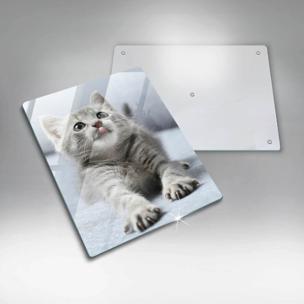 Protection plaque induction Petit chaton mignon