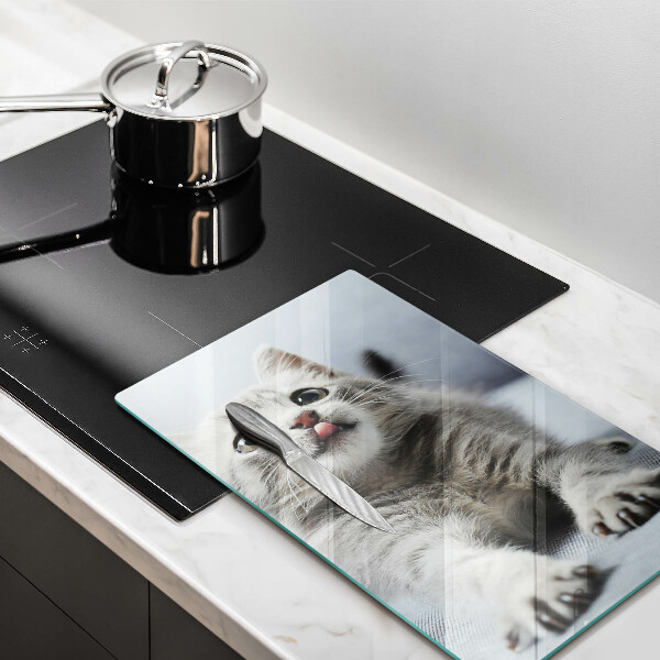 Protection plaque induction Petit chaton mignon
