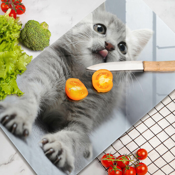 Protection plaque induction Petit chaton mignon