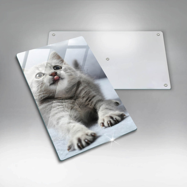 Protection plaque induction Petit chaton mignon