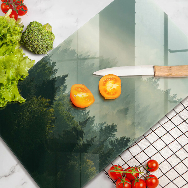 Protection plaque induction Vue paysage de la forêt