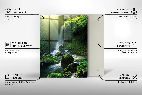 Protection plaque induction Cascade dans la jungle