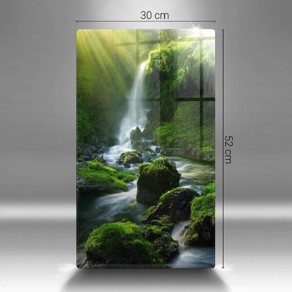 Protection plaque induction Cascade dans la jungle