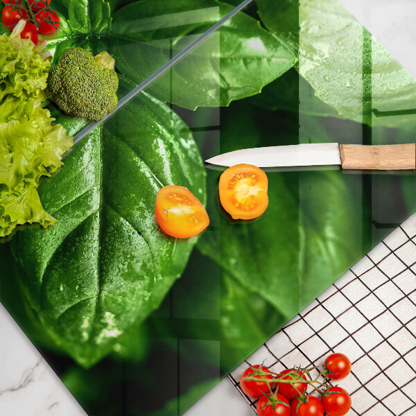 Protection plaque induction Feuilles de basilic