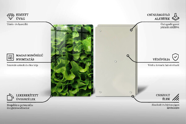 Protection plaque induction Feuilles de laitue verte