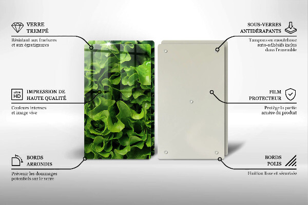 Protection plaque induction Feuilles de laitue verte