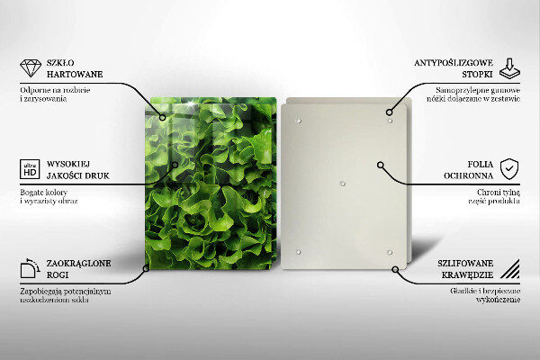 Protection plaque induction Feuilles de laitue verte