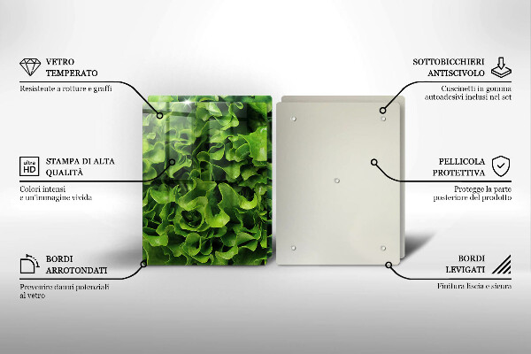 Protection plaque induction Feuilles de laitue verte