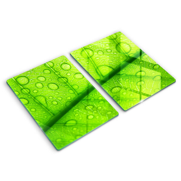Protection plaque induction Gros plan d'une feuille