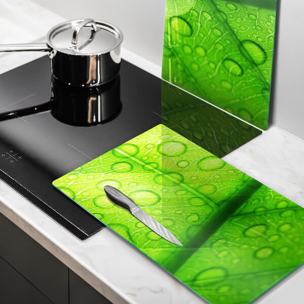 Protection plaque induction Gros plan d'une feuille