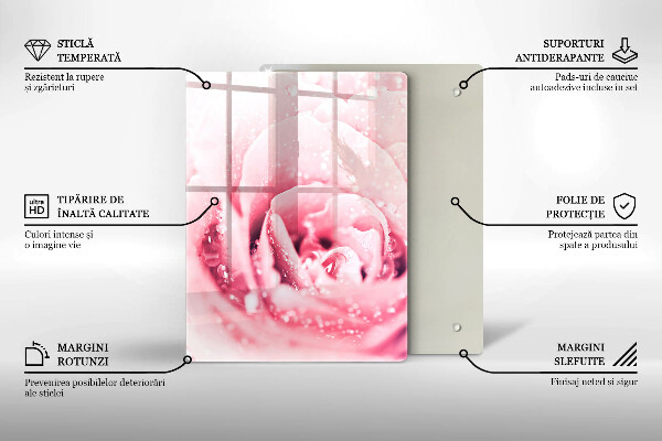 Protection pour plaque de cuisson Teintures décoratives pour pierre