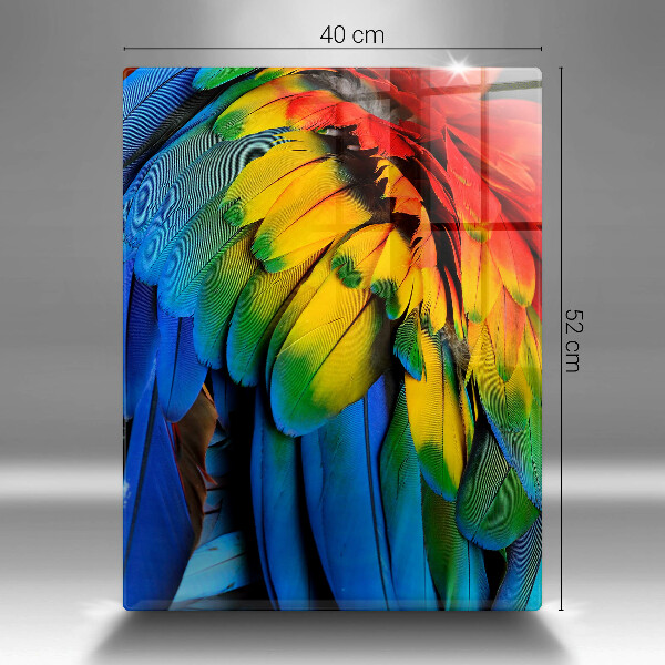 Protection pour plaque de cuisson Plumes de perroquet colorées