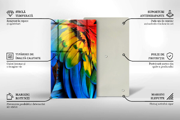 Protection pour plaque de cuisson Plumes de perroquet colorées