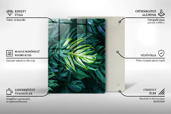 Protection pour plaque de cuisson Contexte moderne