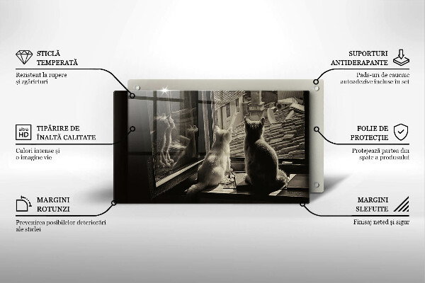 Protège plaque de cuisson Ville et fenêtre des chats