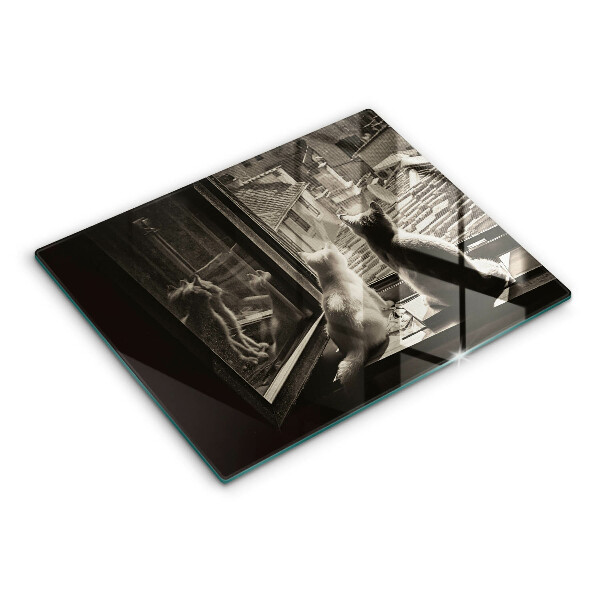 Protège plaque de cuisson Ville et fenêtre des chats