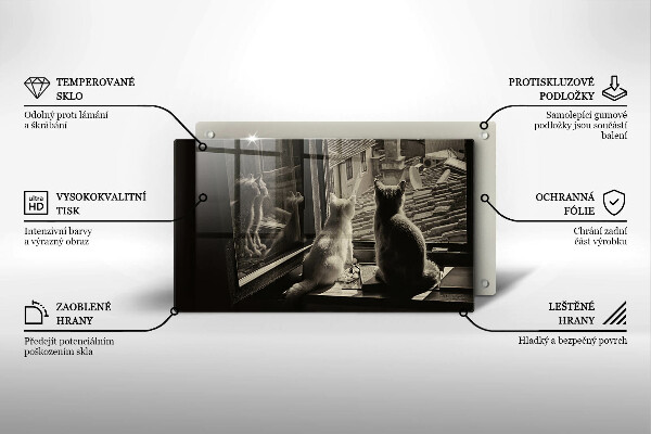 Protège plaque de cuisson Ville et fenêtre des chats