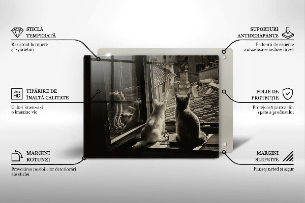 Protège plaque de cuisson Ville et fenêtre des chats