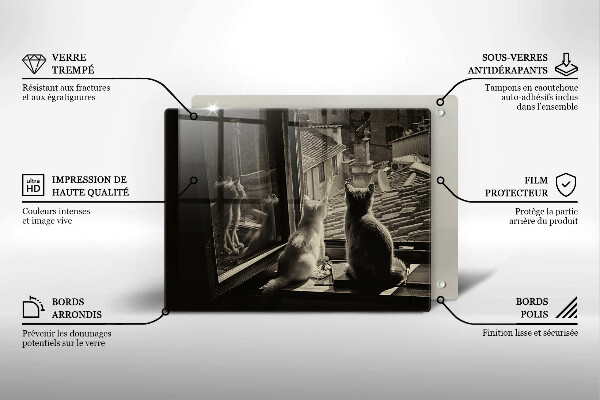 Protège plaque de cuisson Ville et fenêtre des chats