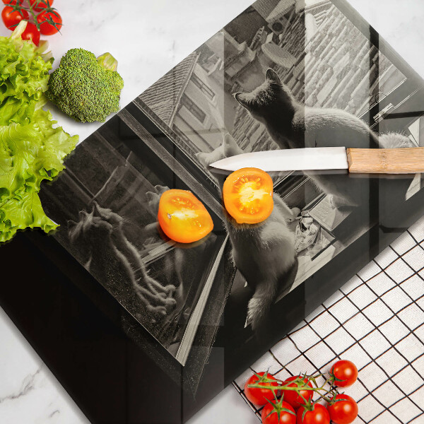 Protège plaque de cuisson Ville et fenêtre des chats