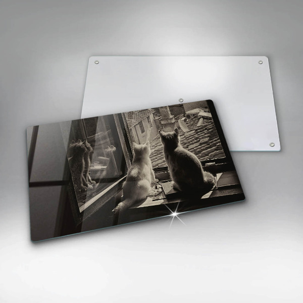 Protège plaque de cuisson Ville et fenêtre des chats