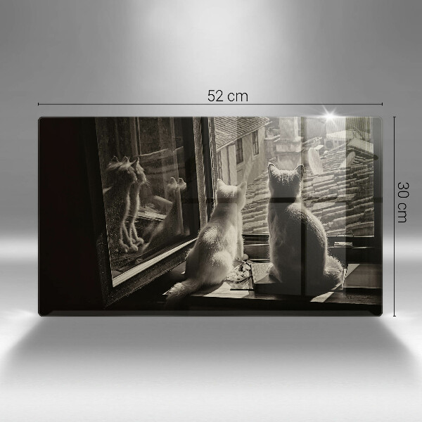 Protège plaque de cuisson Ville et fenêtre des chats