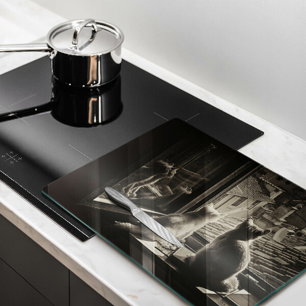 Protège plaque de cuisson Ville et fenêtre des chats