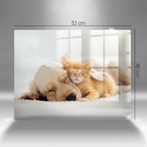 Protège plaque de cuisson Animaux chien et chat