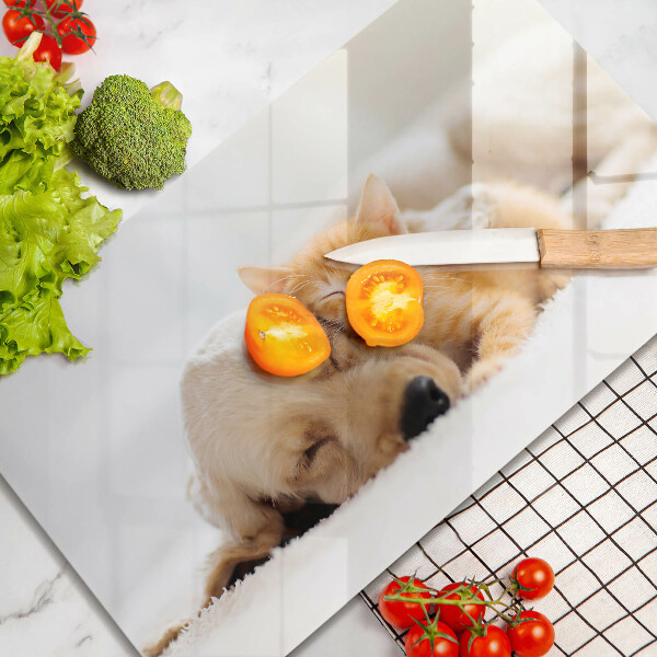 Protège plaque de cuisson Animaux chien et chat