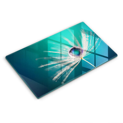 Protège plaque de cuisson Rosée sur un pissenlit