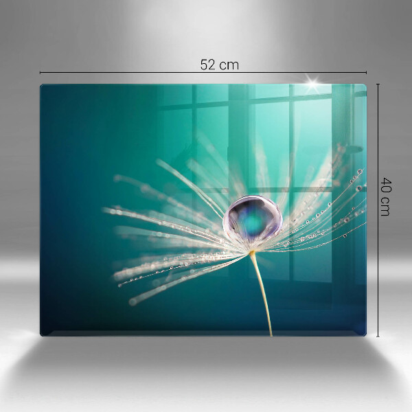 Protège plaque de cuisson Rosée sur un pissenlit