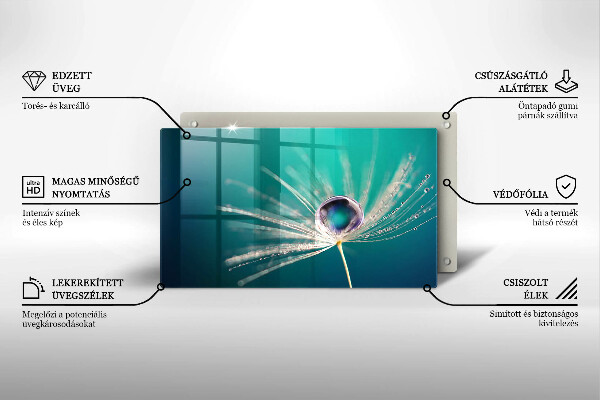 Protège plaque de cuisson Rosée sur un pissenlit