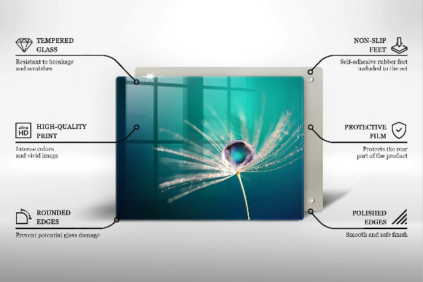 Protège plaque de cuisson Rosée sur un pissenlit