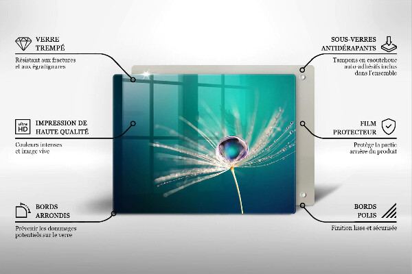 Protège plaque de cuisson Rosée sur un pissenlit