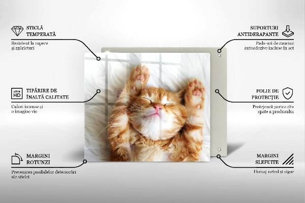 Cache plaque de cuisson Petit chaton mignon