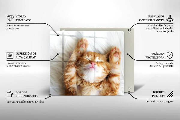 Cache plaque de cuisson Petit chaton mignon