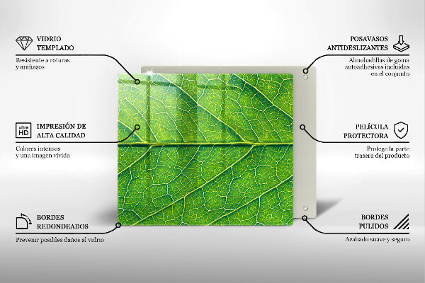 Cache plaque de cuisson Nervures des feuilles naturelles