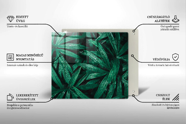 Protection plaque induction Feuilles de plantes