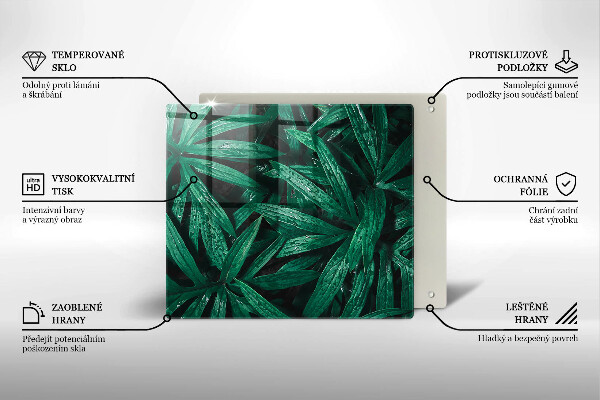 Protection plaque induction Feuilles de plantes